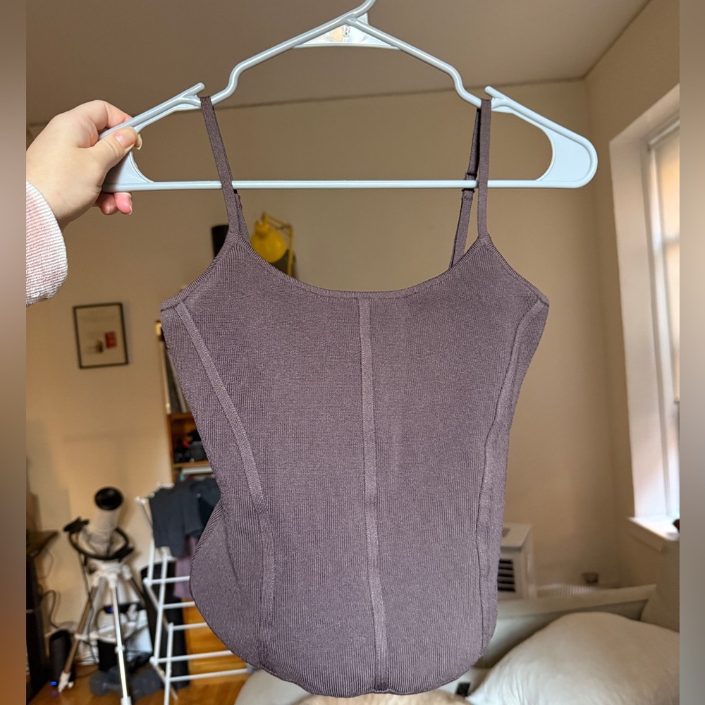 Aritzia Brown Corset Top